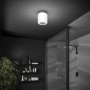 HIB Rhythm Bluetooth Ceiling Light and Speaker