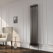 Reina Colona Vertical Mild Steel Radiator